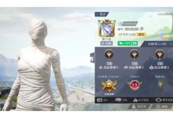 和平精英咋开辅助_和平精英开辅助封一队吗