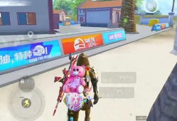 和平精英黑辅助器v1.0_和平精英黑辅助卡组