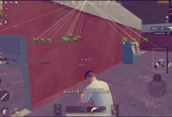 和平精英挂视频_和平精英检测辅助视频