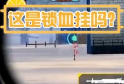 和平精英中的锁血现象是否算作辅助行为：深入探讨与解析_和平精英锁血算什么挂
