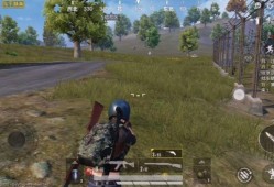 美国人玩和平精英_日本辅助哥玩和平精英