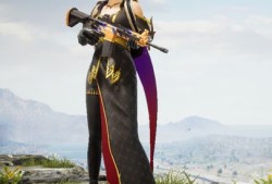 和平精英辅助实战操作：揭秘高效战术与技巧，助你成为战场精英_和平精英辅助实战操作