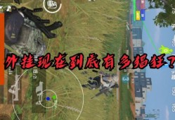 和平精英极限追猎乱杀视频是什么_被辅助追杀视频和平精英