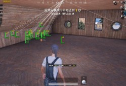 揭秘和平精英辅助真相：实时直播查证，揭露辅助真相，守护游戏公平环境_和平精英查辅助直播