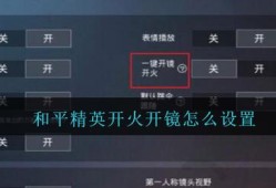 《和平精英辅助自瞄功能开启指南》_和平精英如何开辅助自瞄功能