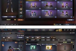 和平精英的挂_和平精英来自辅助的压迫