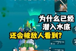 和平精英辅助透视自瞄辅助_和平精英辅助透视自瞄网站