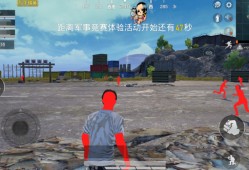 和平精英辅助_和平精英辅助人调戏追车