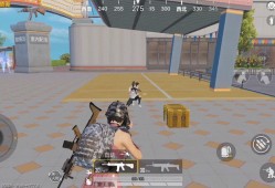 和平精英辅助挂_和平精英官方认可人形辅助