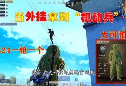 和平精英炸飞机挂视频_遇到辅助和平精英视频