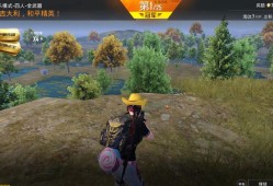 和平精英辅助加速自瞄_和平精英如何开自瞄辅助