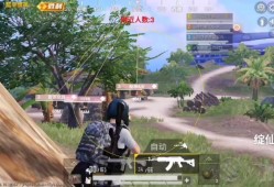 和平精英女孩子名字_女孩子开辅助和平精英