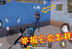 《揭秘和平精英神秘搞怪辅助：游戏界的狂欢派对！》_和平精英搞怪辅助视频