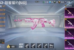 和平精英龙骑士辅助_和平精英龙骑士辅助