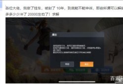 家和平天下_和平天下辅助