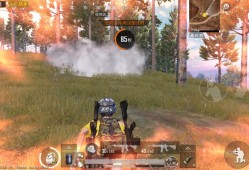 和平精英有哪些挂_和平精英军需有辅助吗