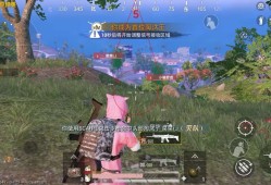 和平精英辅助【小蜜蜂直装】支持root、免root的和平辅助