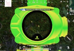 和平精英透视3元挂_和平精英最嚣张辅助