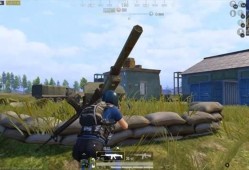 炮芯玩和平精英的名字_和平精英辅助炮