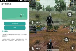 和平精英稳定挂_和平精英的辅助种类