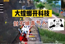 和平精英辅助范捏脸码设计指南_和平精英捏脸码辅助范