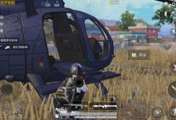 和平精英辅助玩家_和平精英高辅助真多