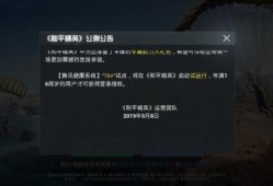 和平精英第一人称暴力挂_和平精英开挂第一人称视频