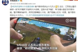 和平精英辅助使用者与制作者的法律后果：深入理解判决年限及相关法律细节_和平精英辅助被抓判几年