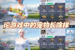 《和平精英辅助馆：荣誉与梦想交织的战场故事》_和平精英辅助馆的故事