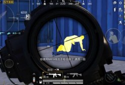 和平精英官方挂_和平精英开官方辅助