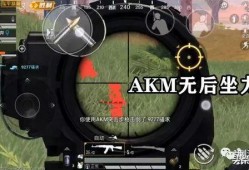 和平精英透视3元挂_辅助小子打和平精英