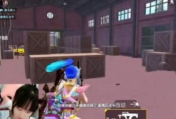 游戏主播和平精英_游戏主播开播辅助和平精英