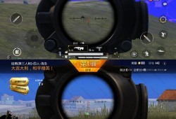 和平精英双排怎么打_和平精英双排为什么辅助多