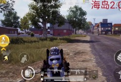 和平精英辅助_和平精英辅助献祭流