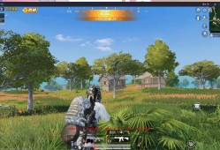 和平精英黑辅助透视自瞄_和平精英雪花自瞄怎么开