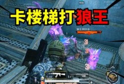 和平精英研究所楼顶怎么上去_和平精英辅助馆楼梯怎么进