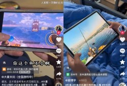 【标题】：探索和平精英的奥秘：深度解析iOS辅助在游戏领域的应用与发展趋势_Ios辅助 和平精英