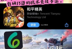 和平精英怎么用辅助_和平精英怎么可以开辅助软件