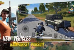 和平精英黑辅助自瞄_和平精英突击黑辅助