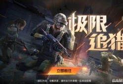 和平精英黑辅助模式：探索未来战场的新篇章_和平精英黑辅助的模式