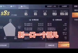 和平精英淘汰回放怎么看不了_和平精英辅助淘汰数