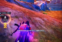 和平精英手机黑屏_和平精英开辅助手机黑屏