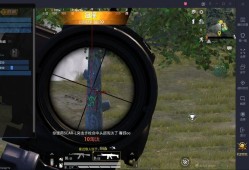 和平精英鸡王陈大白_和平精英遭遇辅助陈大白