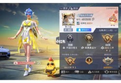 揭秘和平精英辅助真相：自瞄无后座辅助的真相与风险解析_和平精英自瞄无后座辅助