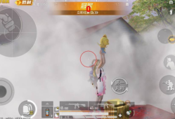 和平精英神枪手直装辅助介绍_和平精英神枪手辅助卡密V6.22免费版