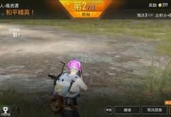 和平精英手机辅助器：游戏利器还是道德陷阱？_和平精英手机辅助器