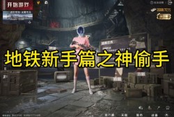 和平精英百灵鸟辅助：游戏的双刃剑_和平精英百灵鸟挂