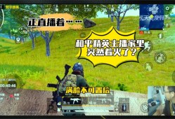 开辅助和平精英软件_和平精英开辅助的语音