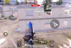 吃鸡突变团竞2.0_和平精英突变团竞2.0辅助哥