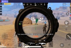 和平精英老撕鸡_老撕鸡玩和平精英遇见辅助